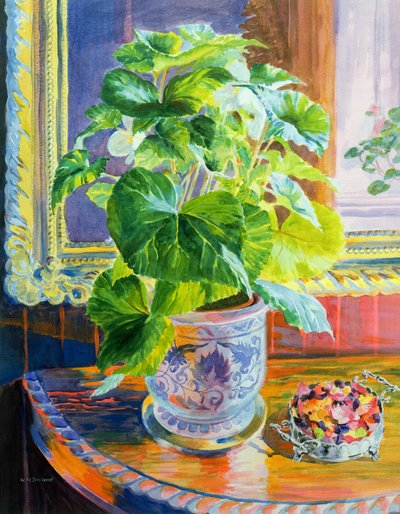 Hacia la luz de William Ireland